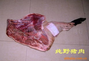 特種耐火材料相關產(chǎn)品